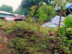 Tanah Longsor Terjang TTS, 5 Rumah Warga di Desa Lobus Hancur, 29 Jiwa Mengungsi