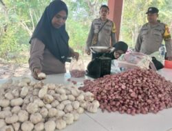 Siti Hartina Siap Berjualan Setiap Rabu, Yakin Pasar Pulau Ende Semakin Ramai